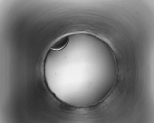 X0000089831516200707051029
