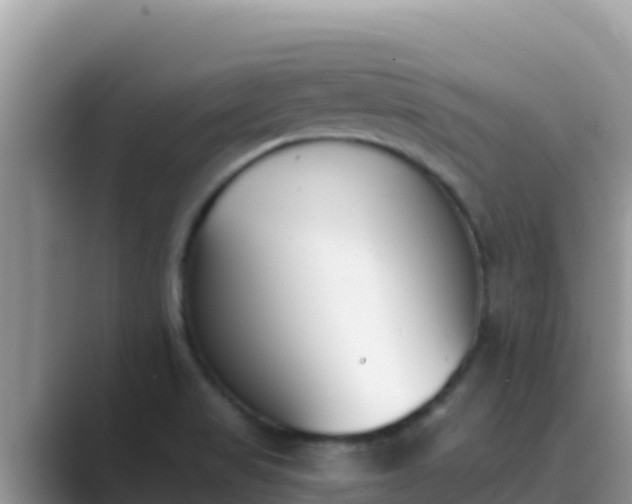X0000089831517200707051029