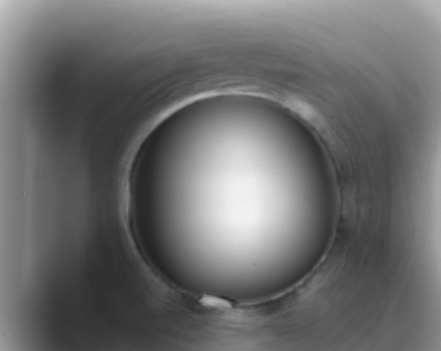 X0000089831520200707051029