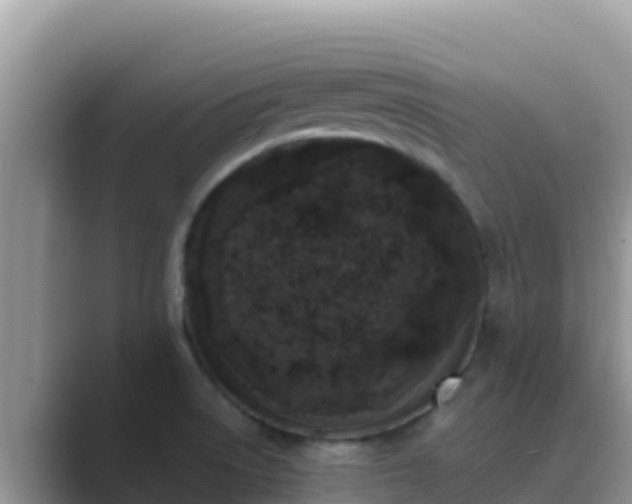 X0000089831522200707051029
