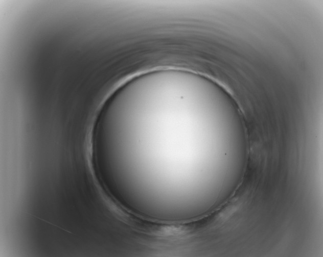 X0000089831523200707051029