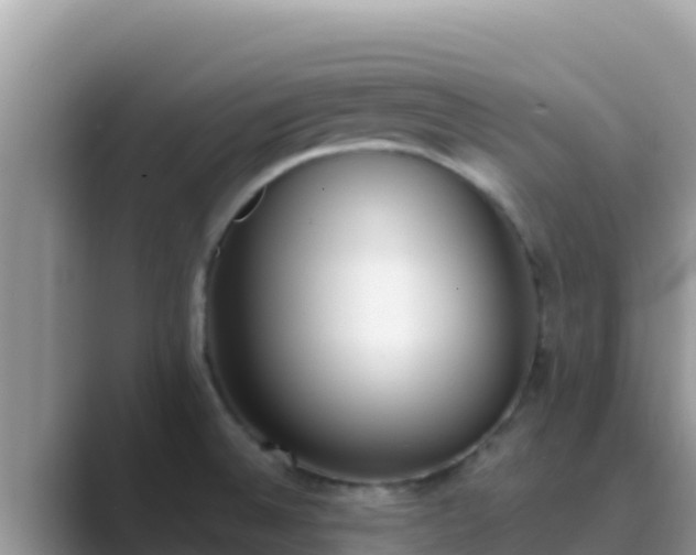 X0000089831524200707051029