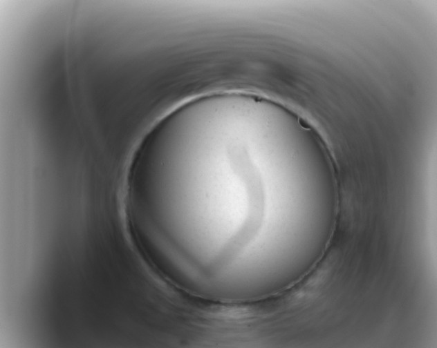 X0000089831525200707051029