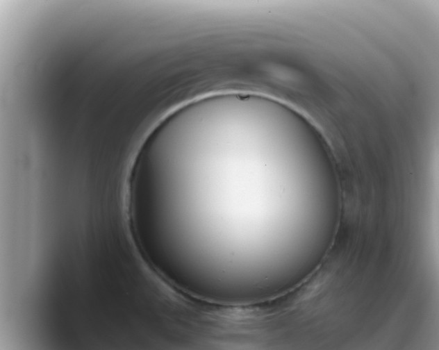 X0000089831527200707051029