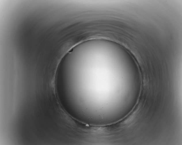 X0000089831529200707051029