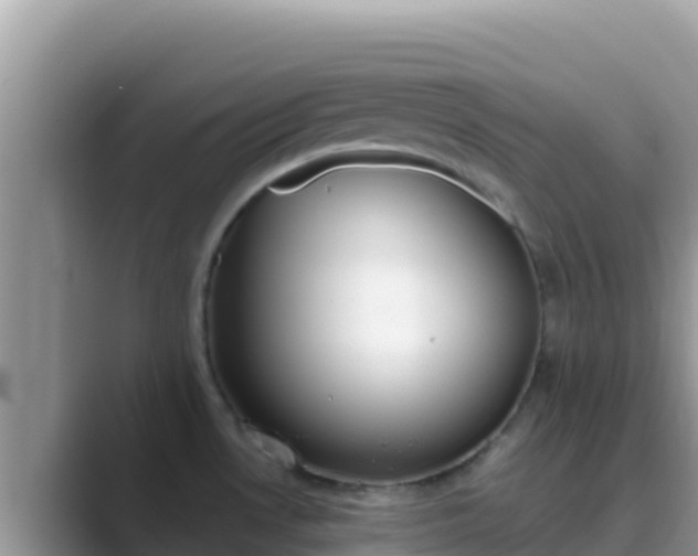 X0000089831530200707051029