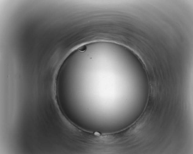 X0000089831531200707051029