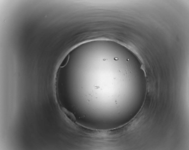 X0000089831532200707051029