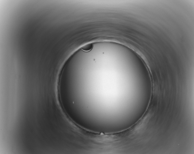 X0000089831533200707051029