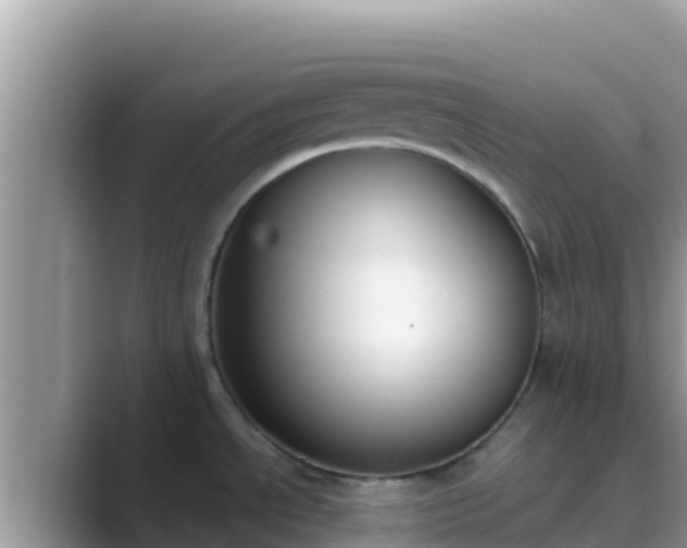 X0000089831534200707051029