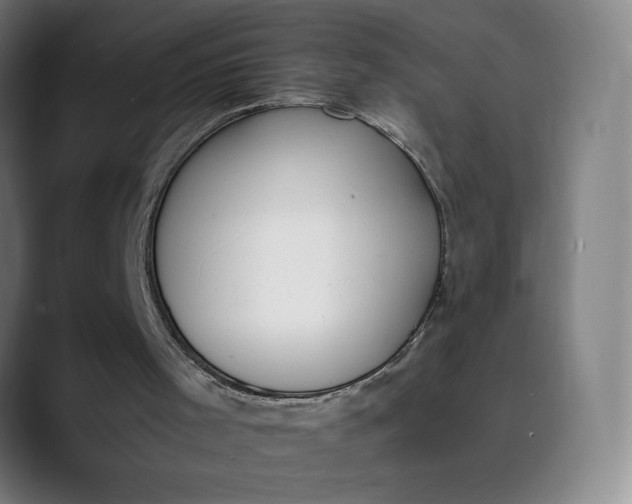 X0000089830001200707121649