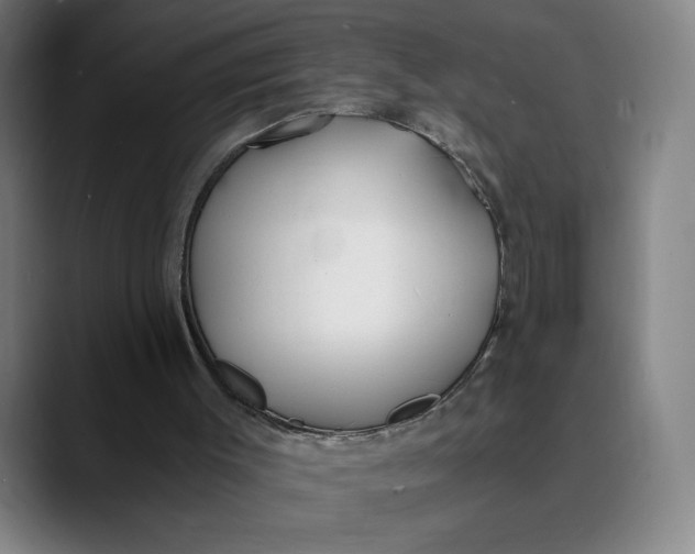 X0000089830003200707121649