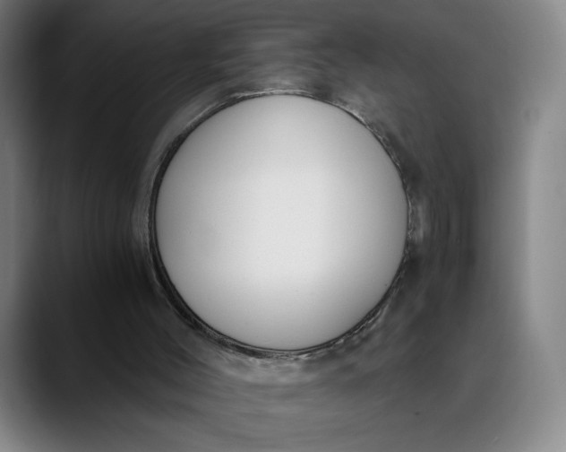 X0000089830004200707121649