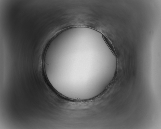 X0000089830005200707121649