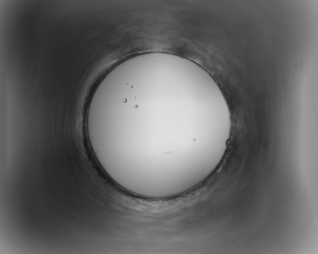 X0000089830006200707121649