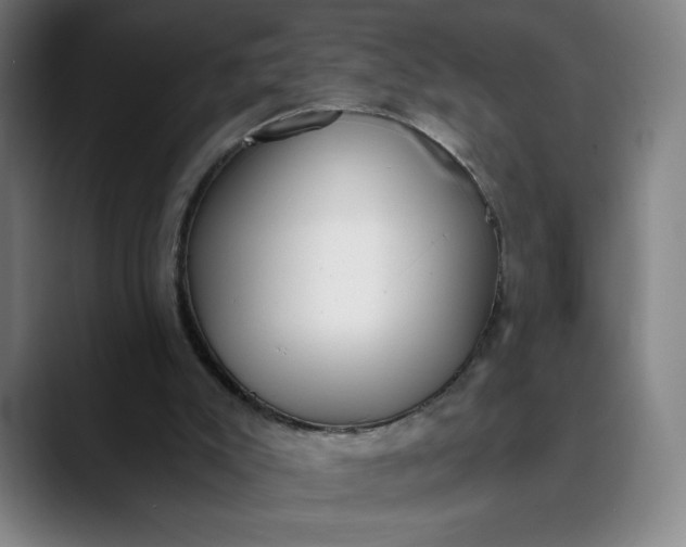 X0000089830007200707121649