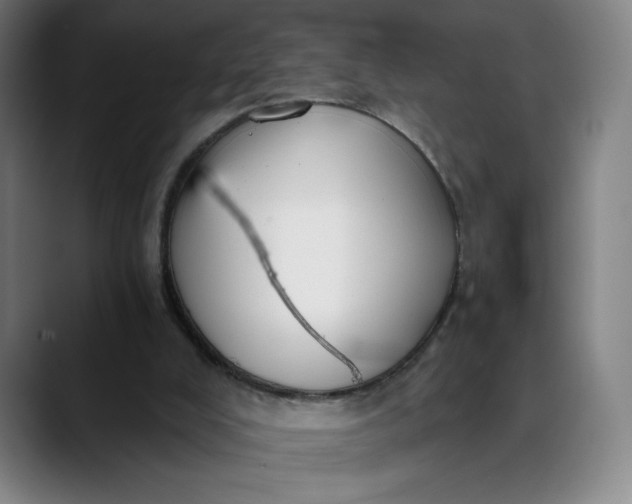 X0000089830008200707121649