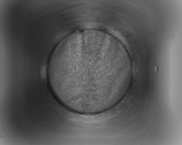 X0000089830010200707121649