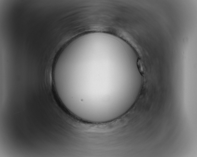 X0000089830011200707121649