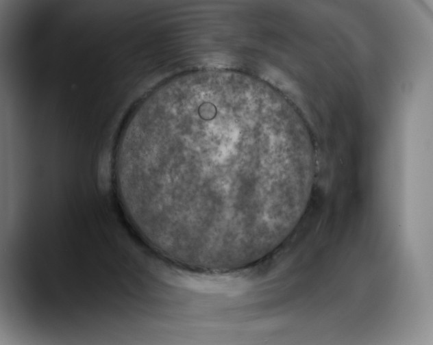 X0000089830012200707121649