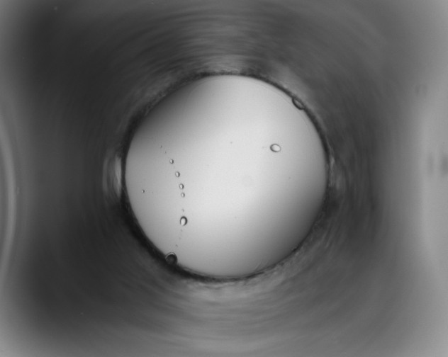 X0000089830013200707121649