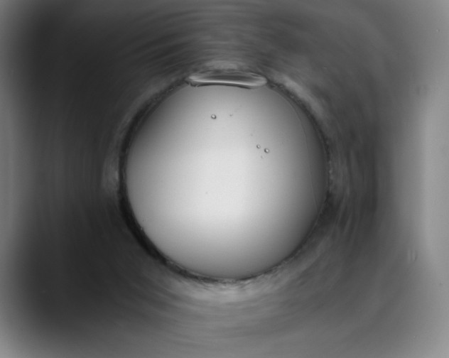 X0000089830015200707121649