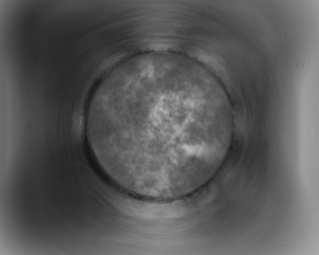 X0000089830016200707121649