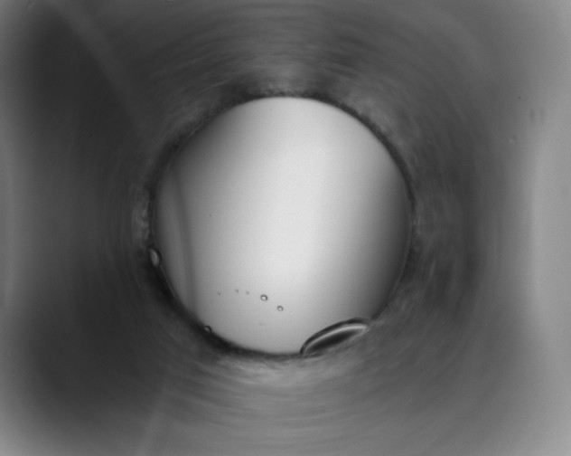 X0000089830017200707121649