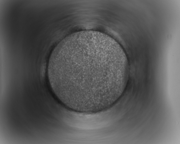 X0000089830018200707121649