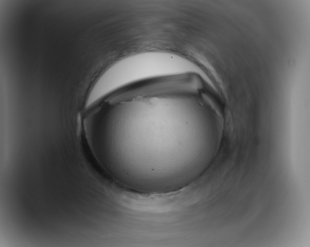 X0000089830019200707121649