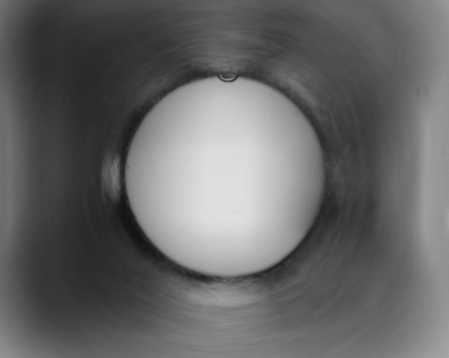 X0000089830020200707121649