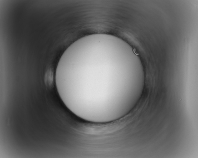 X0000089830021200707121649