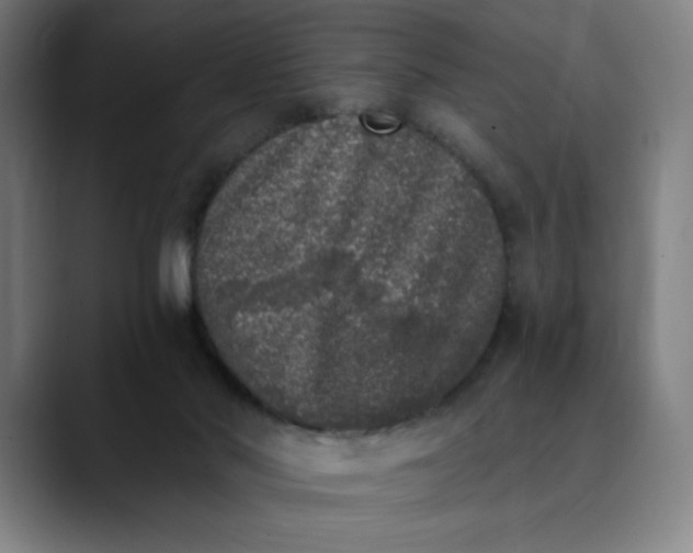 X0000089830022200707121649