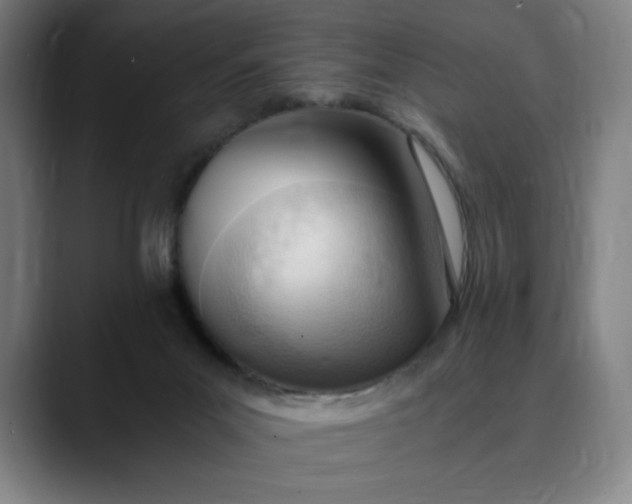 X0000089830023200707121649