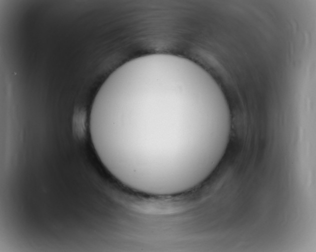 X0000089830024200707121649