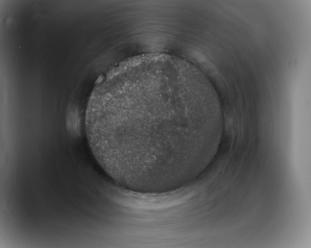 X0000089830026200707121649