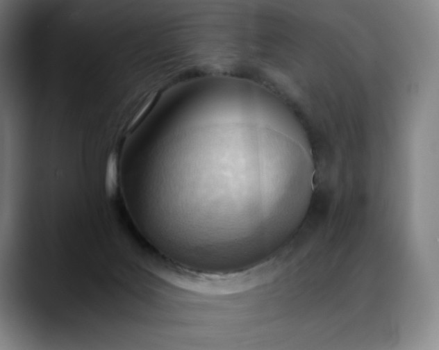 X0000089830027200707121649