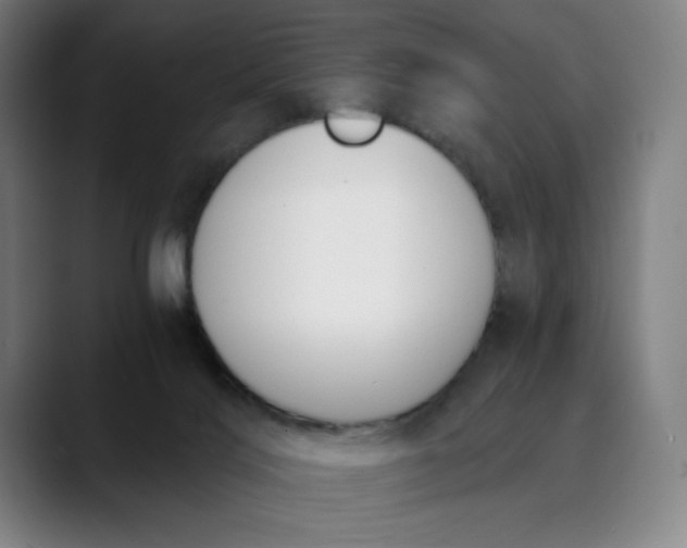 X0000089830028200707121649