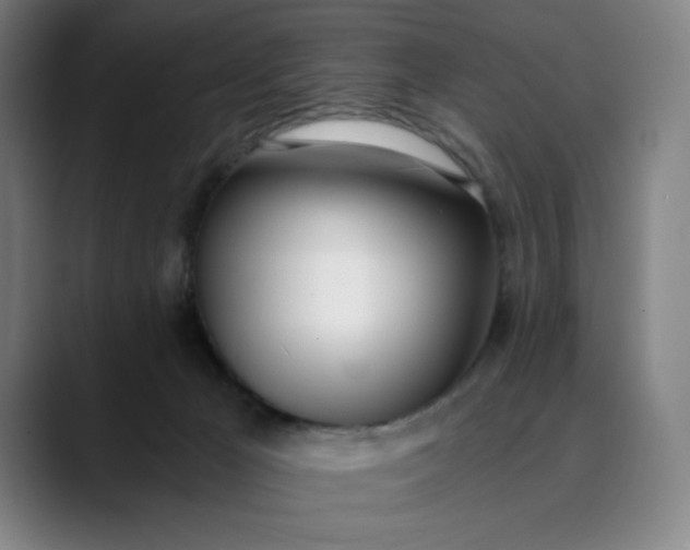 X0000089830029200707121649