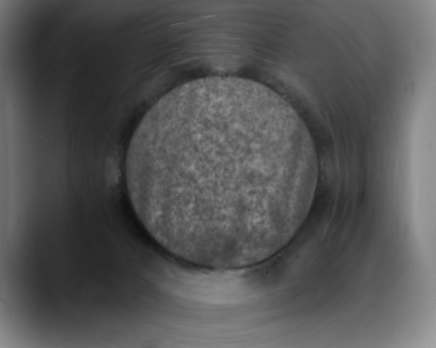 X0000089830032200707121649