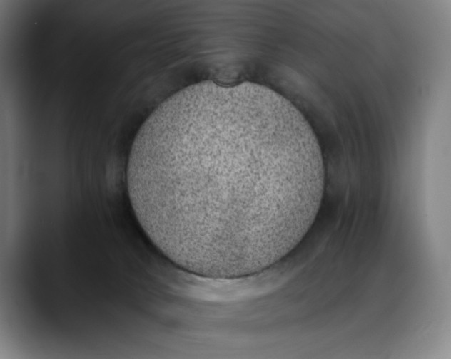 X0000089830034200707121649