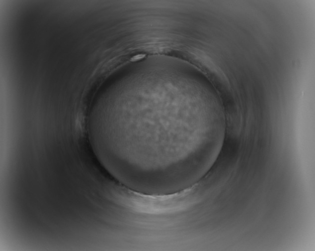 X0000089830035200707121649