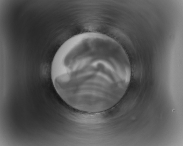 X0000089830036200707121649