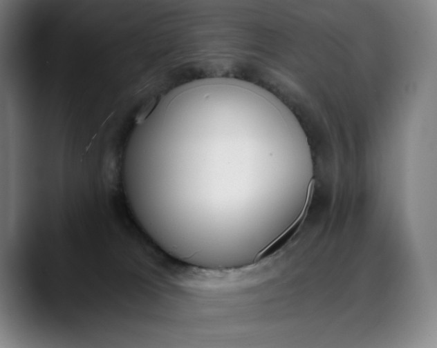 X0000089830037200707121649