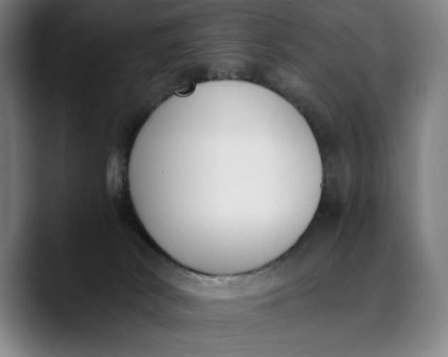 X0000089830038200707121649