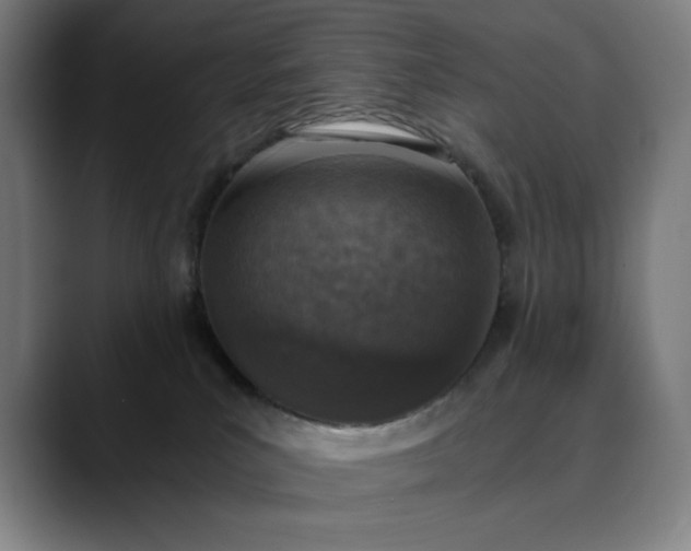 X0000089830039200707121649