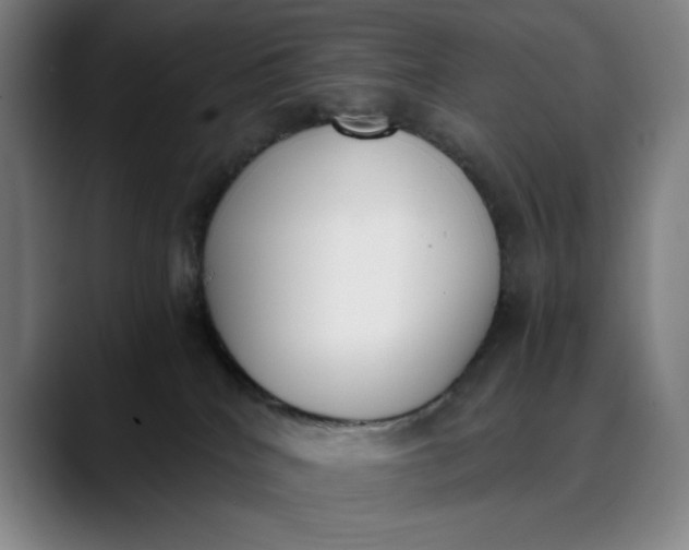 X0000089830040200707121649