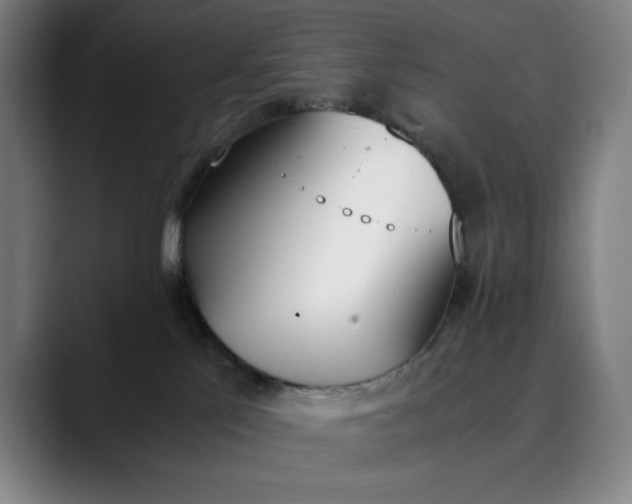 X0000089830041200707121649