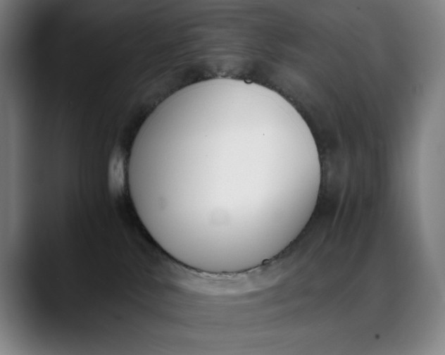 X0000089830042200707121649