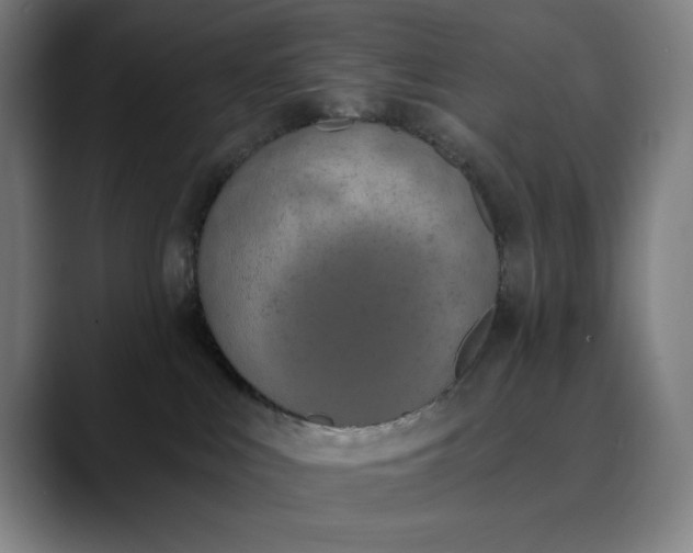 X0000089830043200707121649